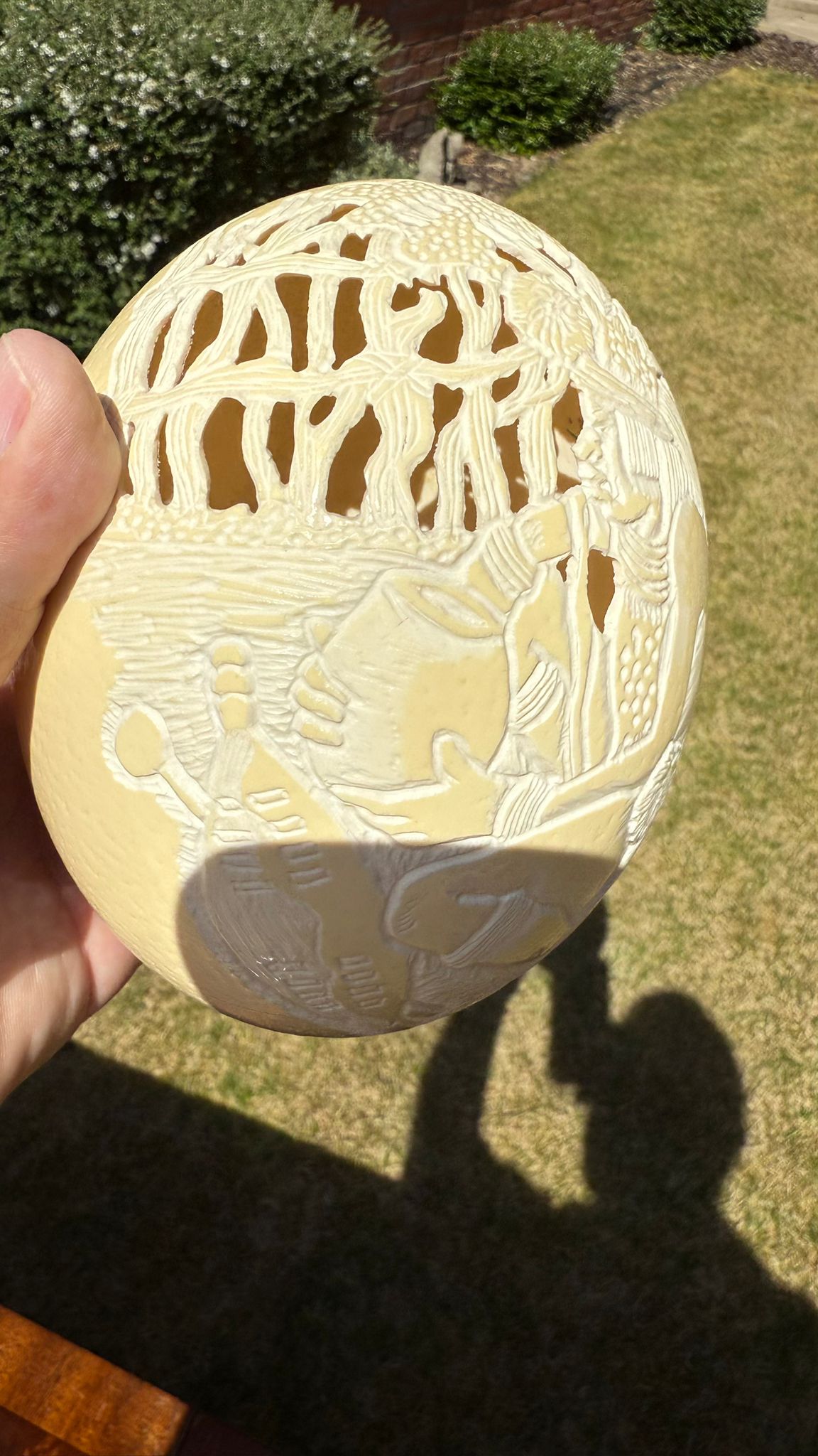 Carved Ostrich Egg