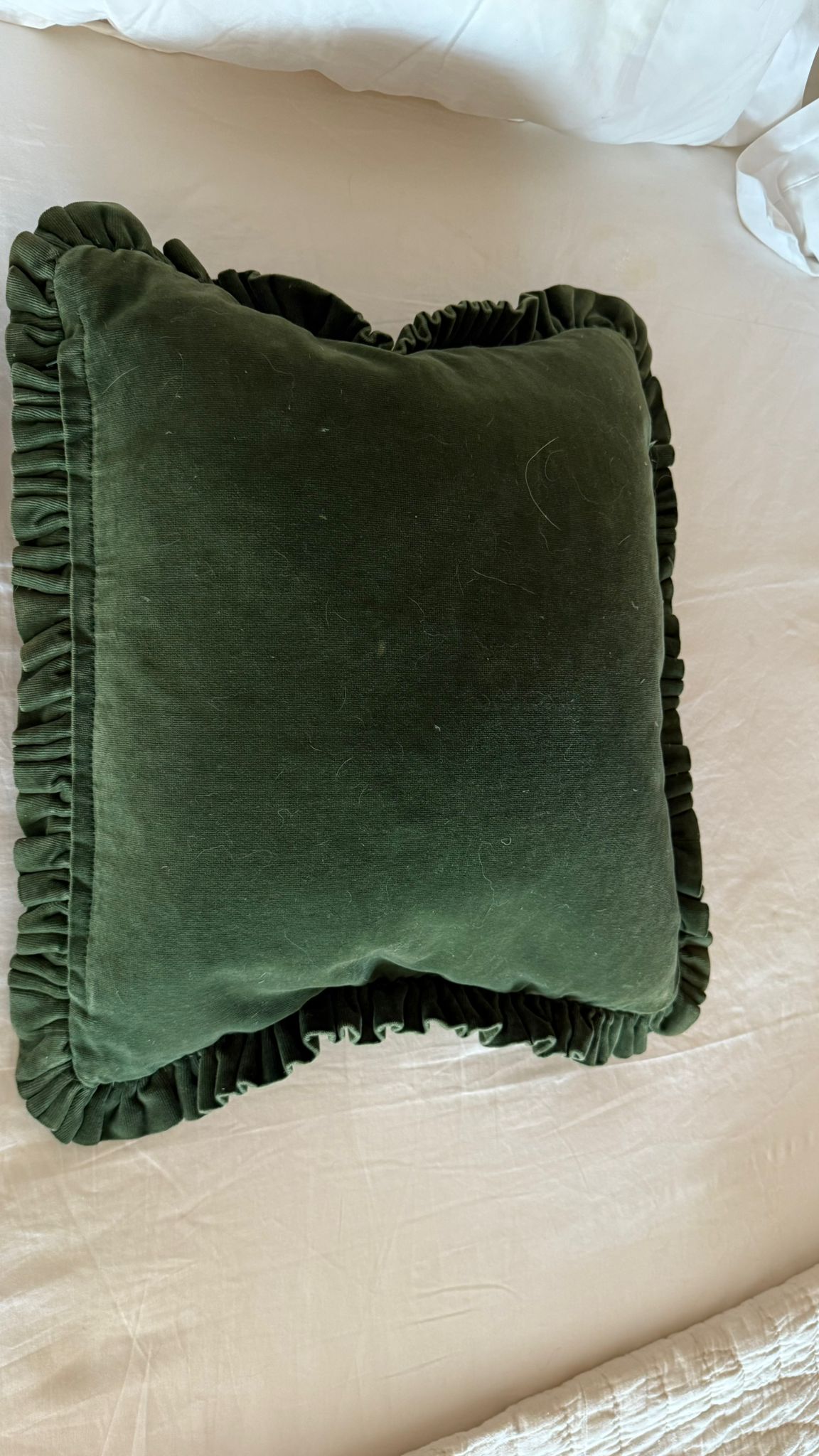 Tapestry Cushion