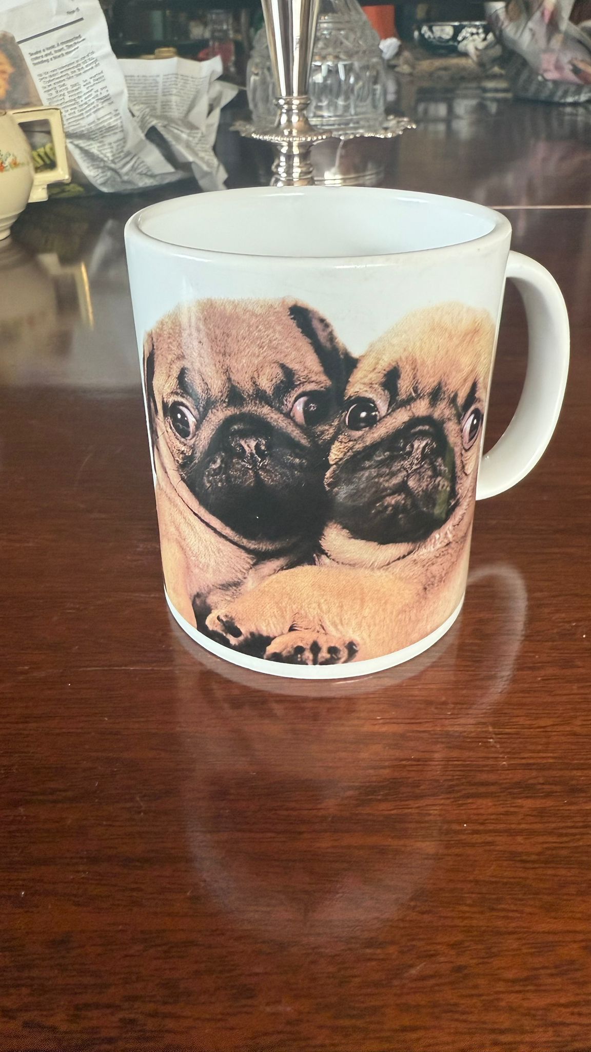Fun Pug Mug