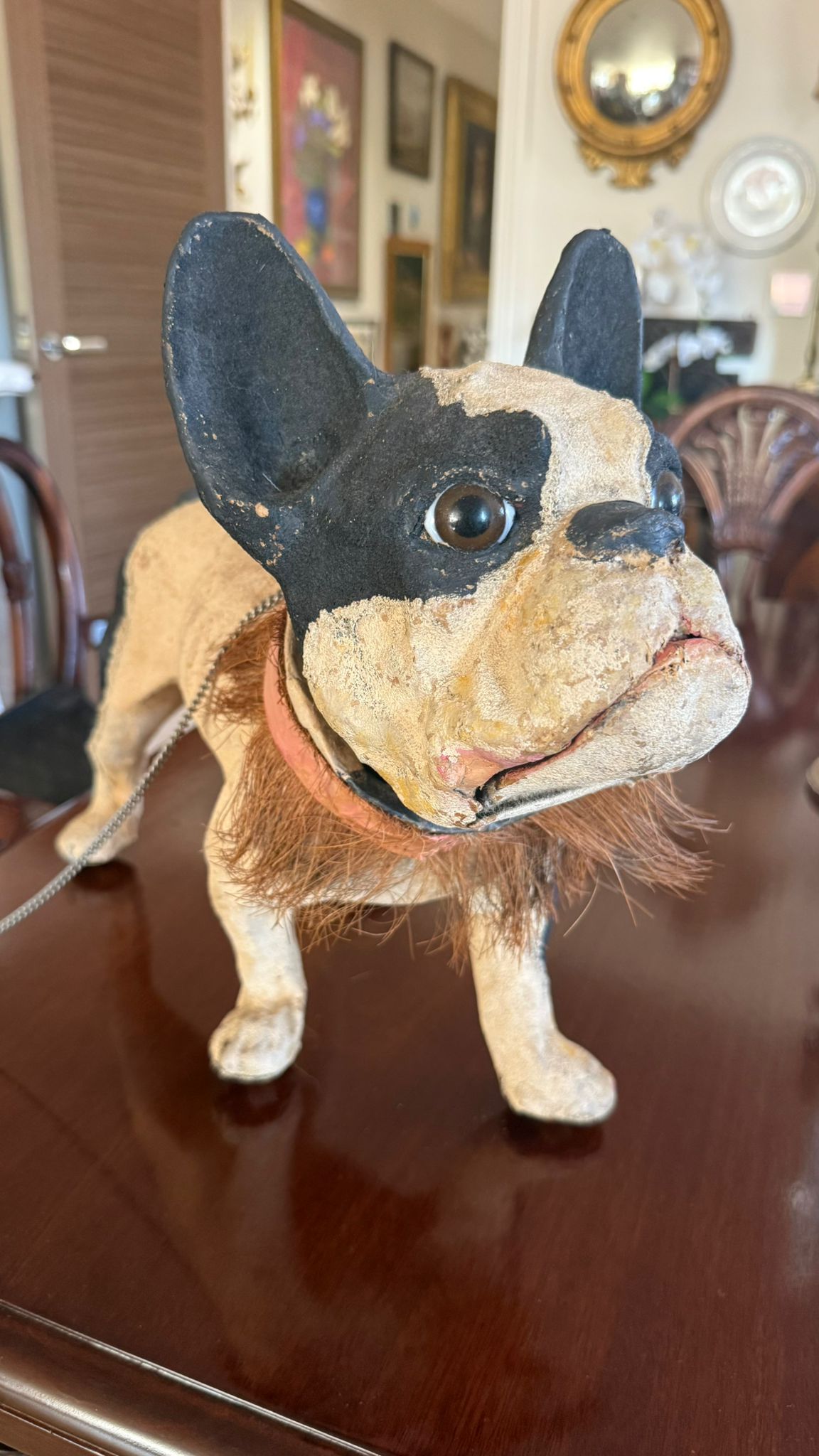Antique barking French bulldog