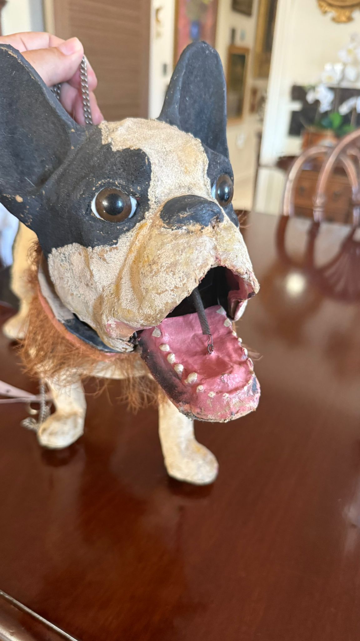 Antique barking French bulldog