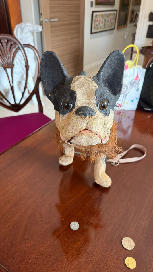Antique barking French bulldog